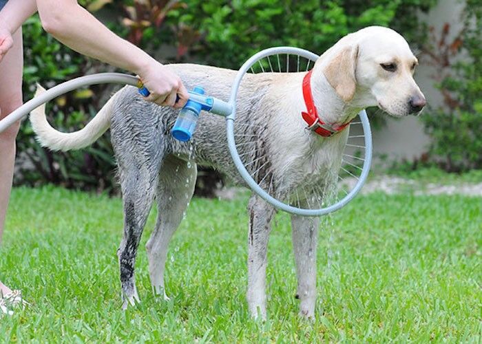 Woof Washer Dog