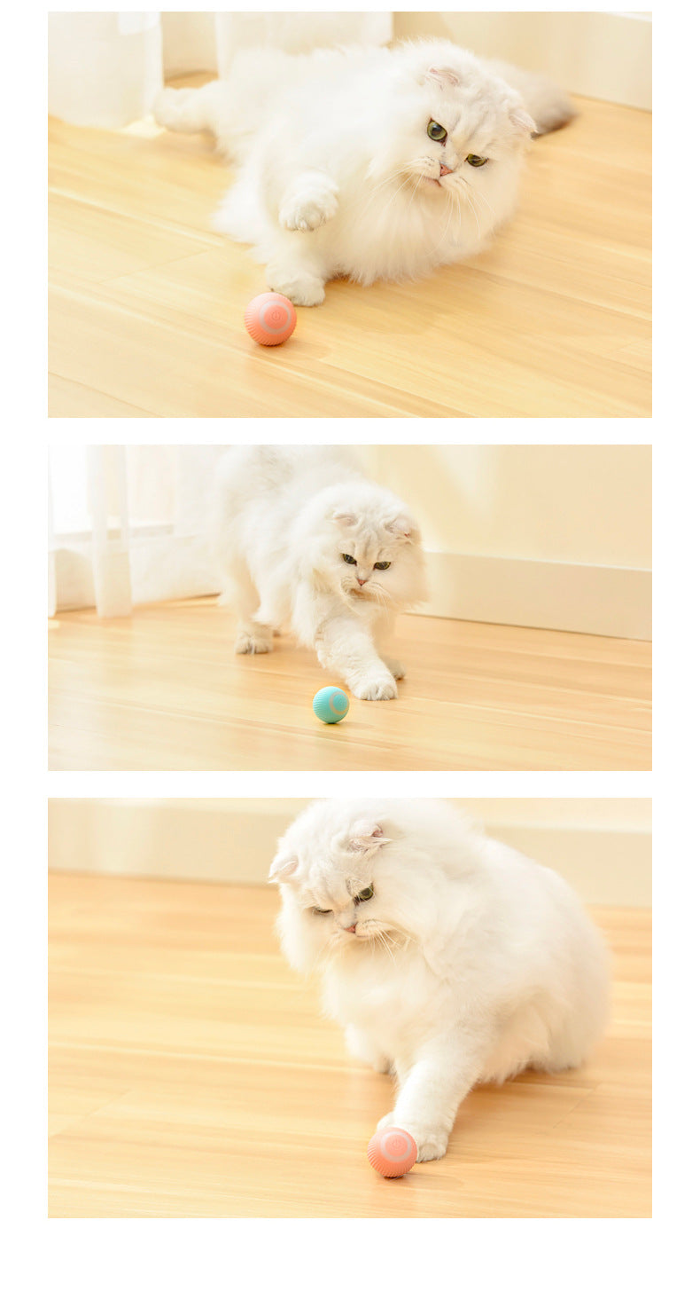 Smart Cat Ball Toys