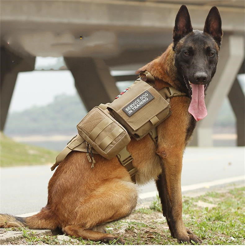 Tactical Military Harness